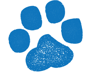 Ori Surf Logo